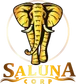 SALUNA CORP